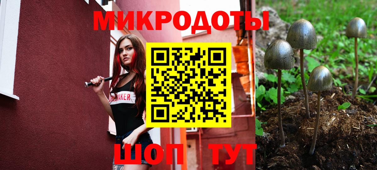 Миллерово  Галлюциногенные грибы Psilocybine cubensis  Вход с VPN 